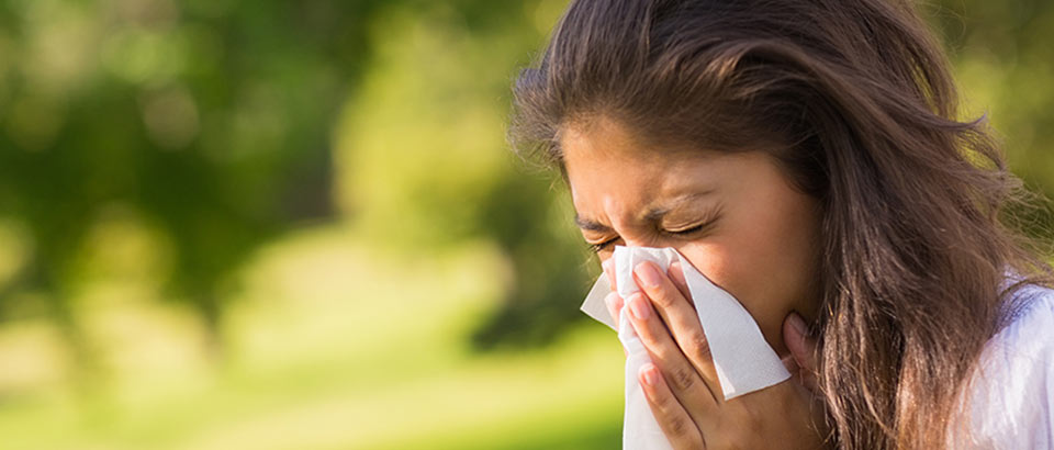 Allergener i hjemmet &ndash; pollentyper og hvorn&aring;r de forekommer